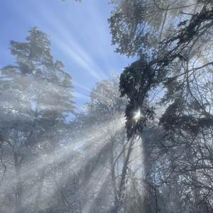 潘金莲一夜被爽了七次
