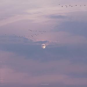 潘金莲一夜被爽了七次
